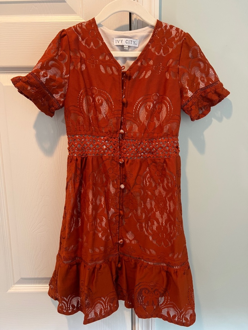 Ivy City Co Rust Lace Button-Down Dress